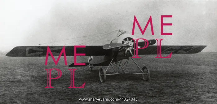 : Fokker E-II / 2 Eindecker monoplane : Fokker E-II / 2 Eindecker monoplane