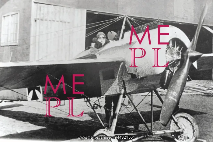 : Fokker E-III / 3 Eindecker monoplane : Fokker E-III / 3 Eindecker monoplane