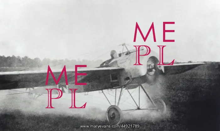 : Fokker E-III / 3 Eindecker monoplane : Fokker E-III / 3 Eindecker monoplane