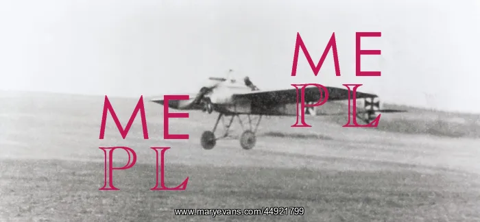 : Fokker E-III / 3 Eindecker monoplane : Fokker E-III / 3 Eindecker monoplane