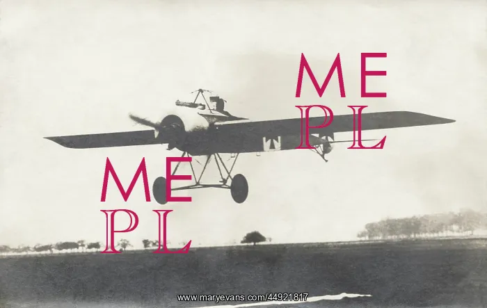 : Fokker E-III / 3 Eindecker monoplane : Fokker E-III / 3 Eindecker monoplane