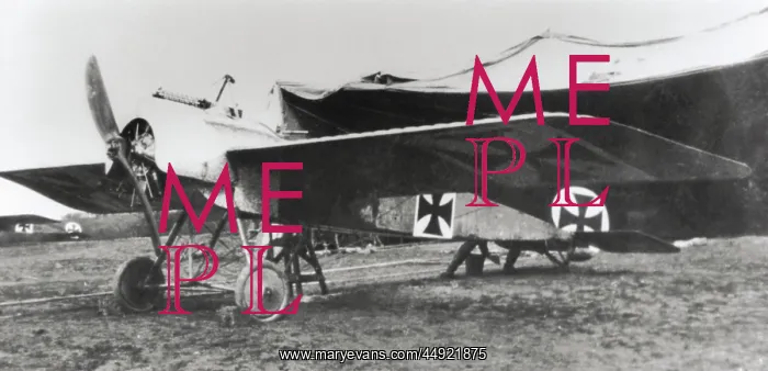: Fokker E-III / 3 Eindecker monoplane : Fokker E-III / 3 Eindecker monoplane