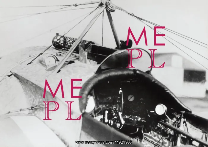 : Fokker E-III / 3 Eindecker monoplane : Fokker E-III / 3 Eindecker monoplane