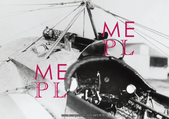 : Fokker E-III / 3 Eindecker monoplane : Fokker E-III / 3 Eindecker monoplane