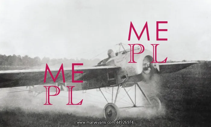 : Fokker E-III / 3 Eindecker monoplane : Fokker E-III / 3 Eindecker monoplane