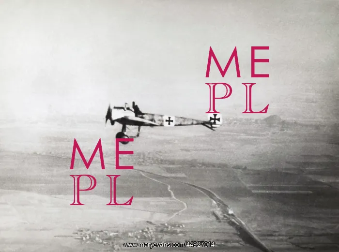 : Fokker E-III / 3 Eindecker monoplane : Fokker E-III / 3 Eindecker monoplane