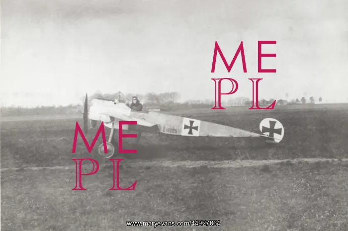 : Fokker E-III / 3 Eindecker monoplane : Fokker E-III / 3 Eindecker monoplane