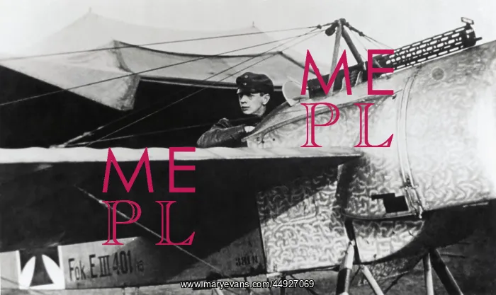 : Fokker E-III / 3 Eindecker monoplane : Fokker E-III / 3 Eindecker monoplane