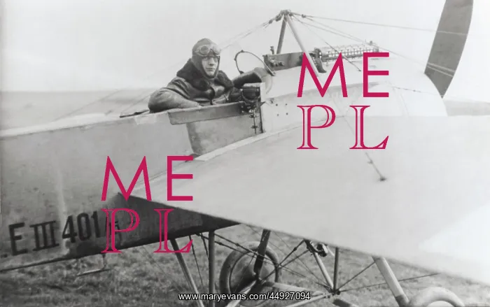 : Fokker E-III / 3 Eindecker monoplane : Fokker E-III / 3 Eindecker monoplane