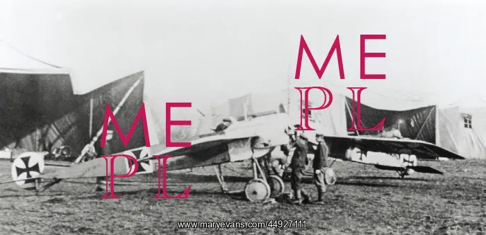 : Fokker E-III / 3 Eindecker monoplane : Fokker E-III / 3 Eindecker monoplane