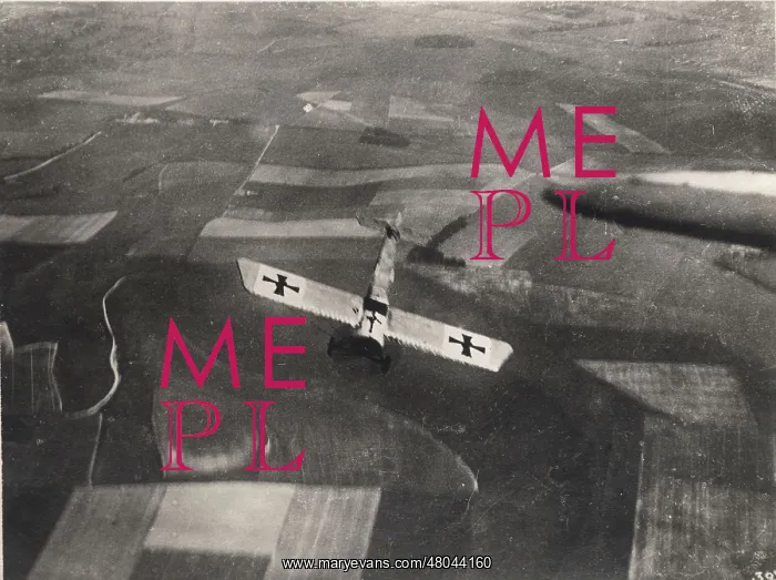 : Fokker EIII in flight : Fokker EIII in flight