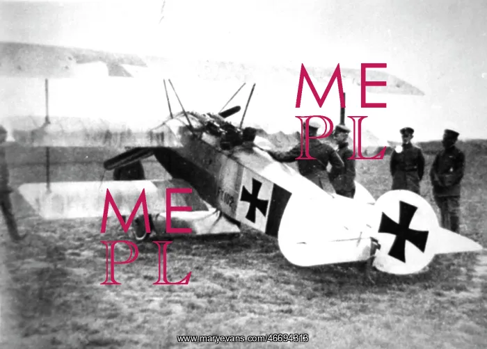 : Fokker F Dr I German triplane fighter : Fokker F Dr I German triplane fighter