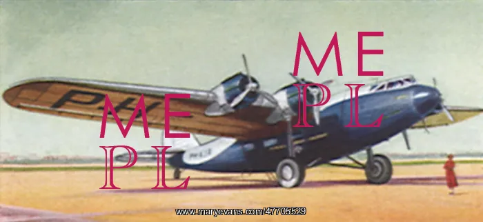 : Fokker F. VI