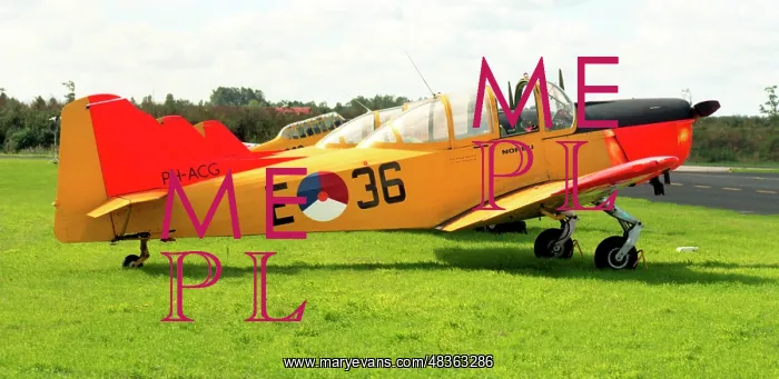  : Fokker S-11 Instructor PH-ACG - E-36