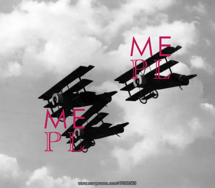 : Fokker Triplanes : Fokker Triplanes