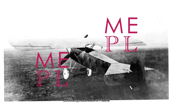 : Fokker V.39 : Fokker V.39