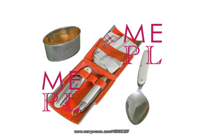 : Folding picnic set : Folding picnic set