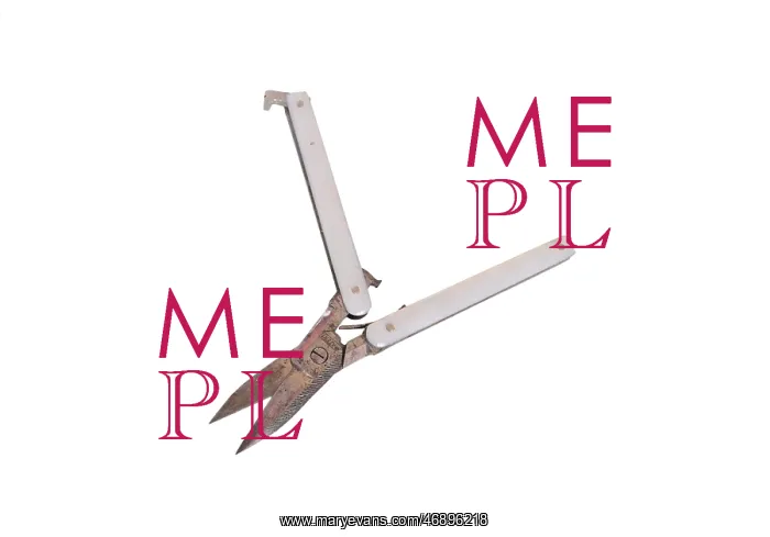 : Folding scissors : Folding scissors