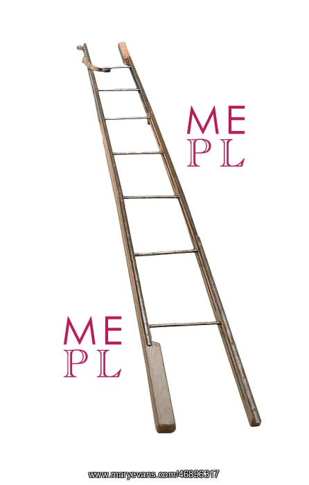 : Folding stage coach ladder - extended : Folding stage coach ladder - extended
