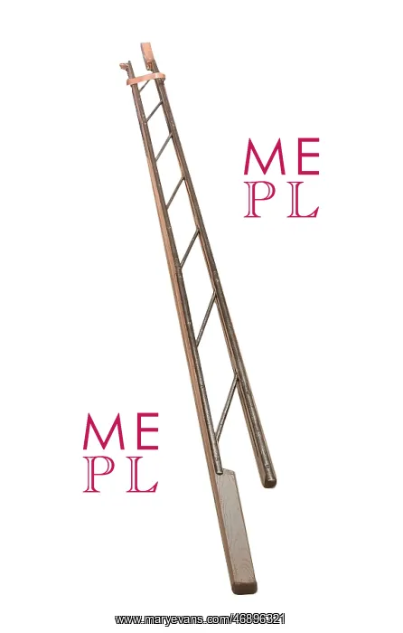 : Folding stage coach ladder - extended : Folding stage coach ladder - extended
