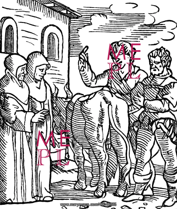 : Folengo, Teofilo, 1491 - 9.12.1544, Italian clergyman : Folengo, Teofilo, 1491 - 9.12.1544, Italian clergyman