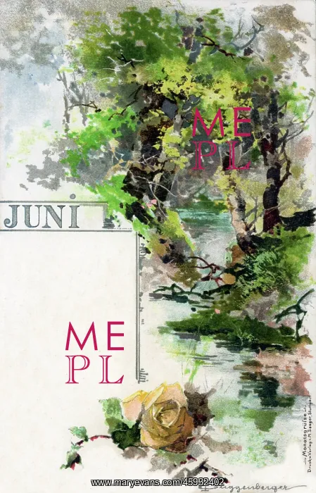 : Foliage, plants and flowers which appear in June : Foliage, plants and flowers which appear in June