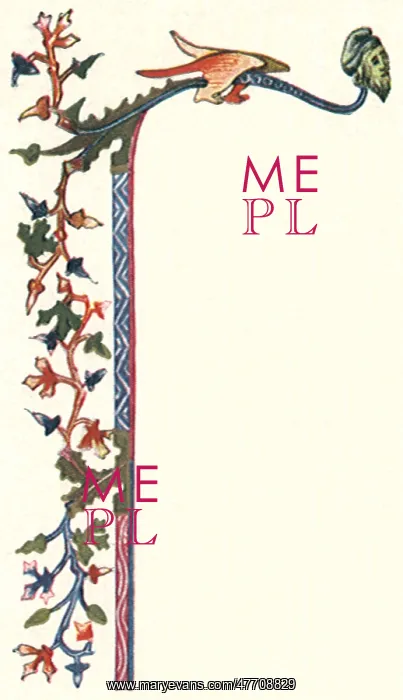  : Foliate Trail Border