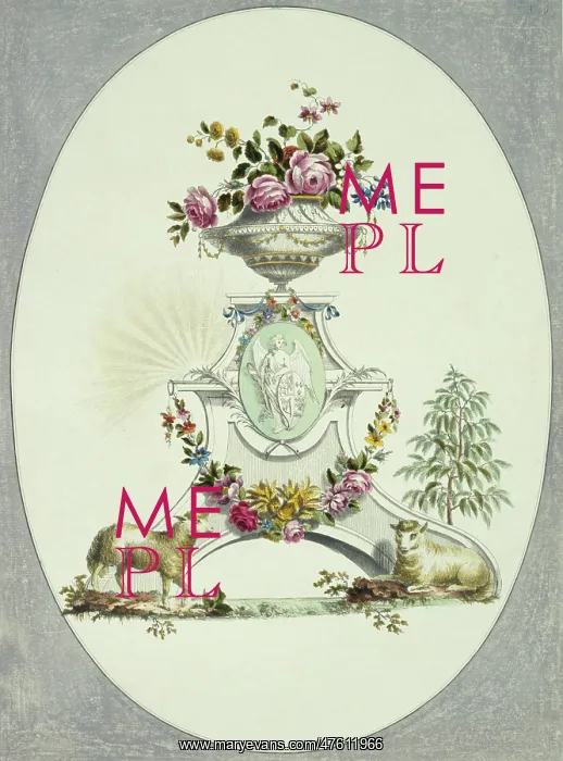 : Folio 16 from A Collection of Flowers by John Edwards : Folio 16 from A Collection of Flowers by John Edwards