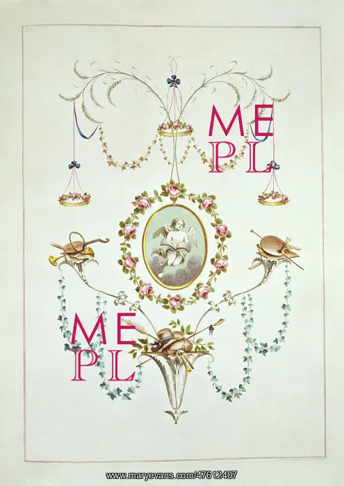 : Folio 54 from A Collection of Flowers by John Edwards : Folio 54 from A Collection of Flowers by John Edwards