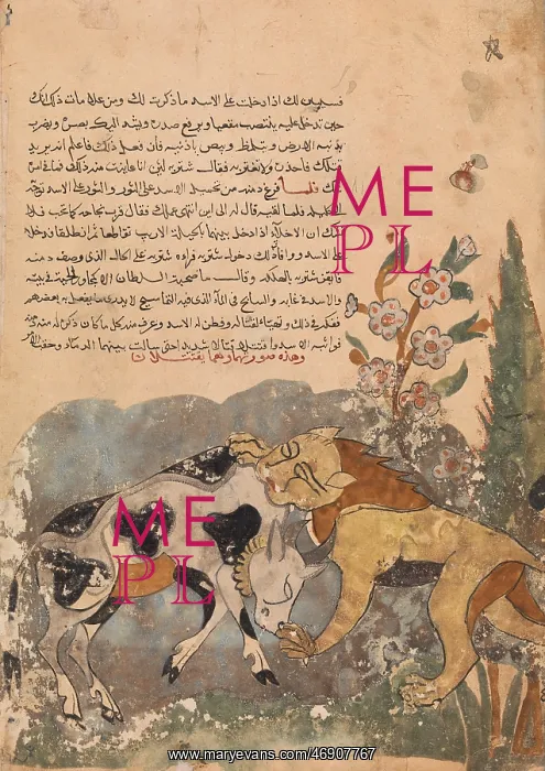 : Folio from a Kalila wa Dimna, 18th century, Attributed : Folio from a Kalila wa Dimna, 18th century, Attributed