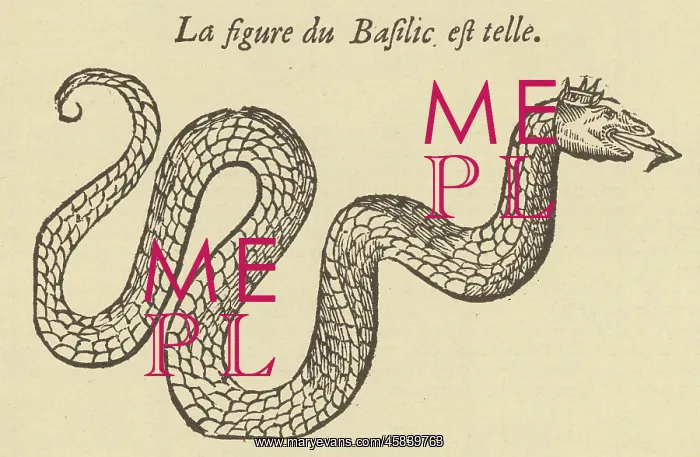 : Folklore - Basilisk : Folklore - Basilisk