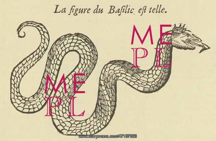: Folklore - Basilisk : Folklore - Basilisk