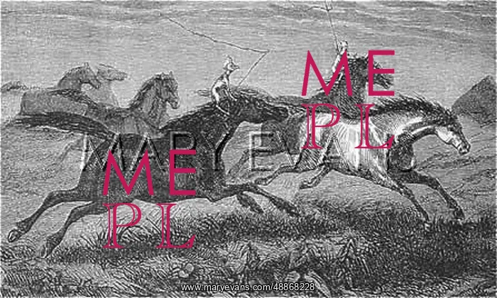 : FOLKLORE / FOLLET : FOLKLORE / FOLLET