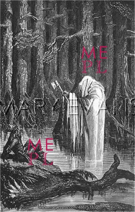 : FOLKLORE / FOREST SPIRIT : FOLKLORE / FOREST SPIRIT