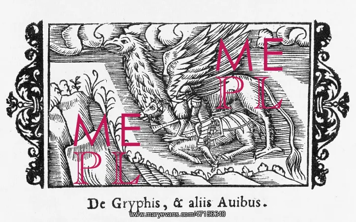  : Folklore - Gryphon