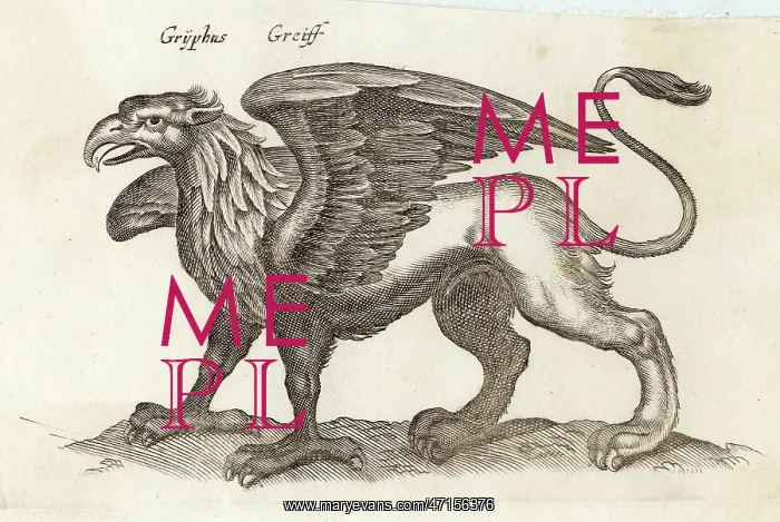 : Folklore - Gryphon : Folklore - Gryphon
