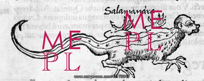  : FOLKLORE / SALAMANDER