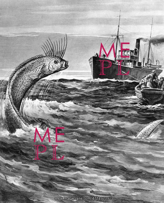 : FOLKLORE / SEA SERPENT : FOLKLORE / SEA SERPENT