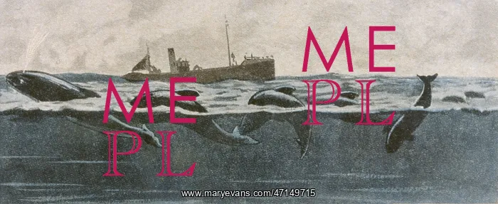 : FOLKLORE / SEA SERPENT : FOLKLORE / SEA SERPENT