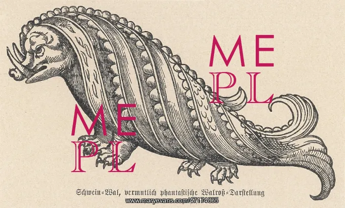 : Folklore - Sea Serpent : Folklore - Sea Serpent