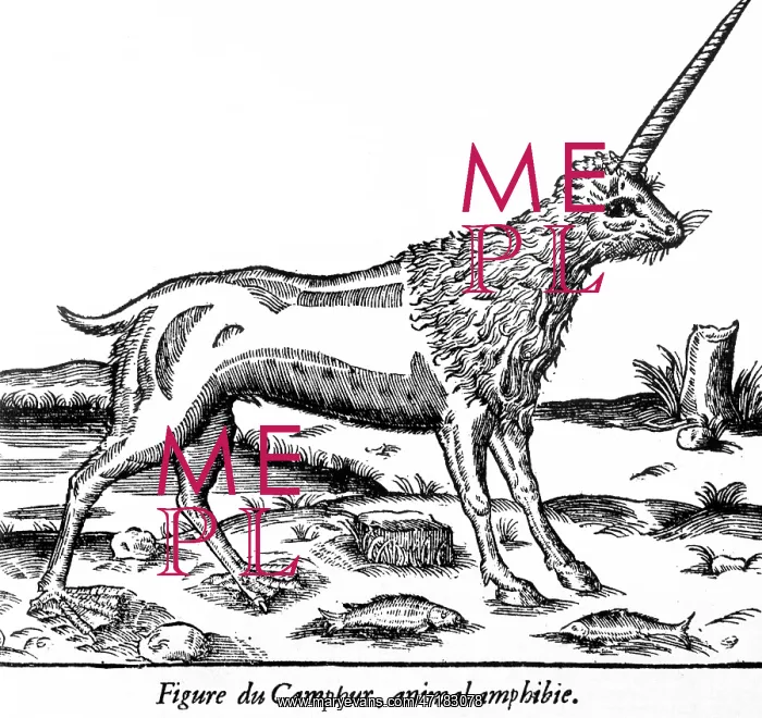 : Folklore - Unicorns : Folklore - Unicorns