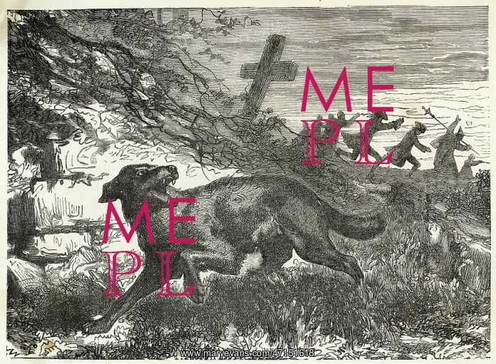  : Folklore - Werewolves