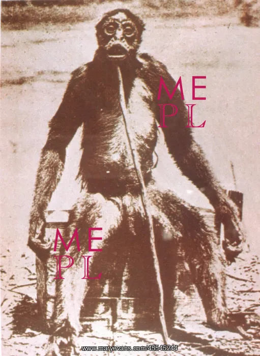 : Folklore - Yeti - Ape like creature - South America : Folklore - Yeti - Ape like creature - South America