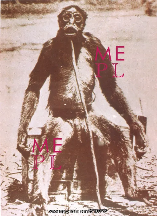 : Folklore - Yeti - Ape like creature - South America : Folklore - Yeti - Ape like creature - South America