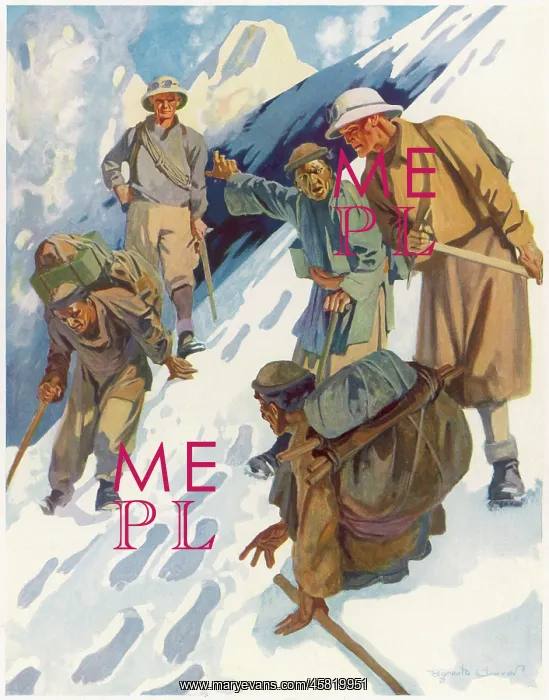 : FOLKLORE / YETIS : FOLKLORE / YETIS
