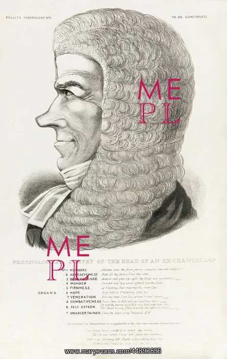 : Follit's Phrenology No.2 : Follit's Phrenology No.2