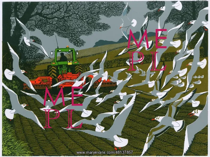 : Following the Harrow : Following the Harrow