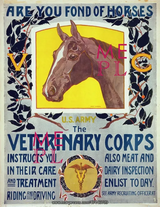 : Are you fond of horses - US Army - The Veterinary Corps inst : Are you fond of horses - US Army - The Veterinary Corps inst