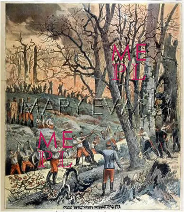 : FONTAINEBLEAU FIRE / 1893 : FONTAINEBLEAU FIRE / 1893