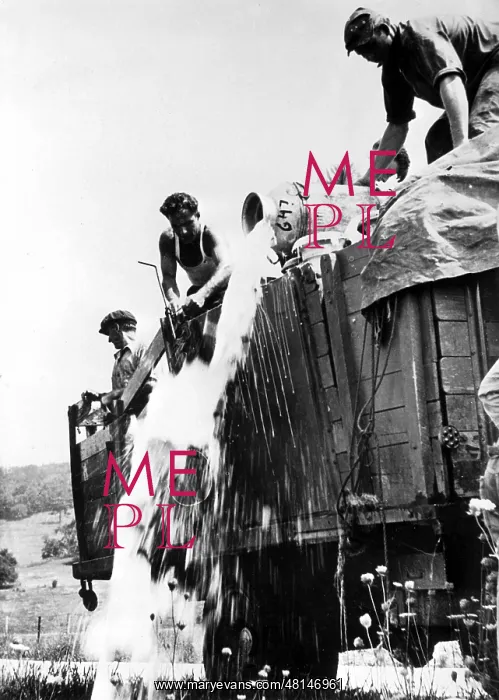 : Food destruction during the Great Depression : Food destruction during the Great Depression